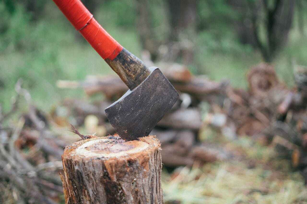 Residential Tree Removal in Edwards, CO